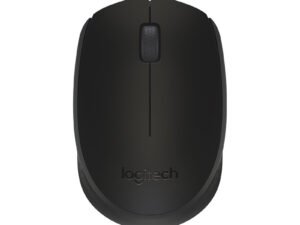 Logitech B170