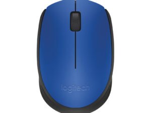 Logitech M171
